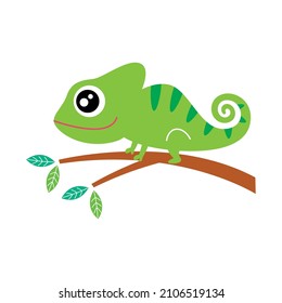 cute chameleon cartoon graphic vector illustration