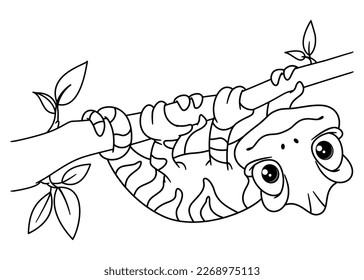 Cute chameleon hanging on branch coloring page. Outline vector cartoon illustration