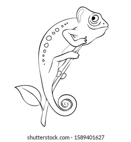 Cute chameleon on the branch vector illustration. Coloring book page