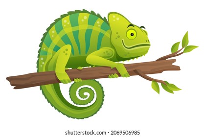 Cute chameleon sitting on branch cartoon illustration