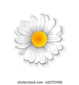 Cute chamomile flower in paper art style isolated on white background. Vector illustration.