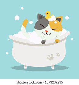 A Cute  character cartoon cat lying in the bathtub with duck toy in flat vector style. Healthcare for cat. illustation of cat for graphic ,content,banner,etc.