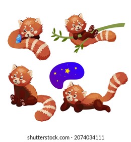 Cute character red panda isolated on a white background. Panda character for kids. Cartoon funny animal character.