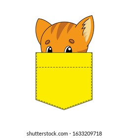 Cute character in shirt pocket. Cat animal. Colorful vector illustration. Cartoon style. Isolated on white background. Design element. Template for your shirts, stickers.