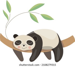 Carácter lindo durmiendo panda. Un animal gracioso. Objeto aislado en fondo blanco.