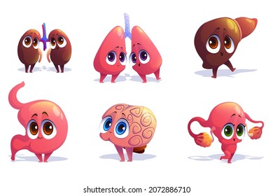 Cute characters of human internal organs isolated on white background. Vector set of cartoon funny brain, liver, kidneys, lungs, uterus with ovaries and stomach