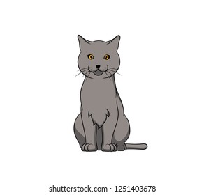 Cute Chartreux Cartoon Cat. Vector illustration of purebred chartreux cat.