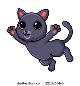 Cute chartreux cat cartoon posing