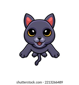 Cute chartreux cat cartoon posing