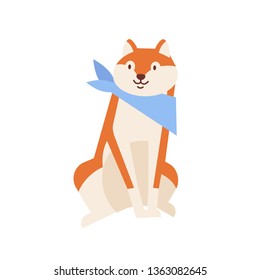 Cute cheerful Akita Inu wearing neck scarf. Amusing sitting dog or puppy of Japanese breed isolated on white background. Daily life of domestic animal or pet. Flat cartoon vector illustration.