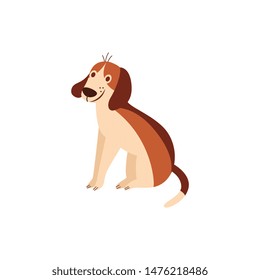 Cute cheerful beagle dog or puppy sitting and smiling humor flat cartoon vector illustration isolated on white background. Animal pet character for prints and design.