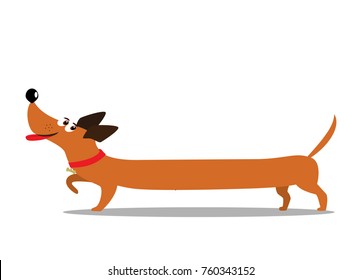 Cute cheerful long cartoon dachshund dog isolated on white background. Vector illustration, clip art.