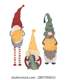 Cute cheerful Scandinavian gnomes with pumpkins. Stock Vector Isolated illustration.