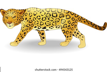 Cute cheetah cartoon
