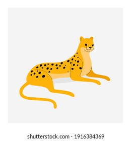 Cute cheetah - cartoon animal character. Vector illustration in flat style isolated on gray background.