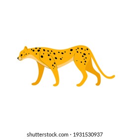 Cute cheetah - cartoon animal character. Vector illustration in flat style isolated on gray background.