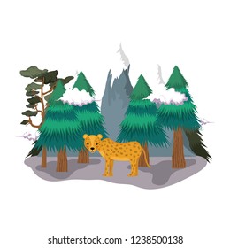 cute cheetah in the landscape