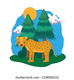 cute cheetah in the landscape