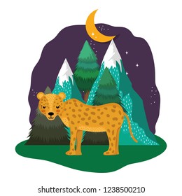 cute cheetah in the landscape on the night