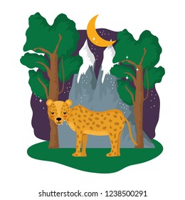 cute cheetah in the landscape on the night