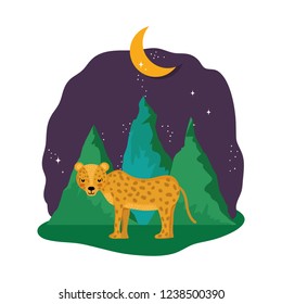 cute cheetah in the landscape on the night