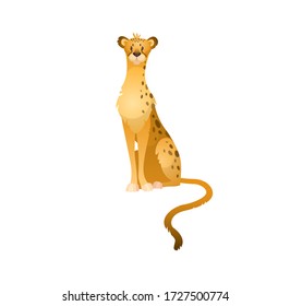 Cute cheetah, leopard or jaguar. Nature tropical jungle wild animal print, vector africa safari illustration