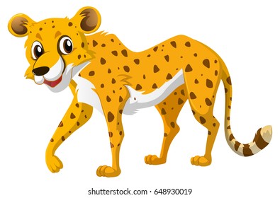 Cute Cheetah On White Background Illustration Stock Vector (Royalty ...