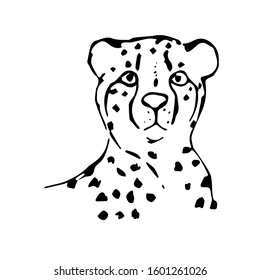 Cute cheetah. Sketch. Vector illustration. Drawing a line.