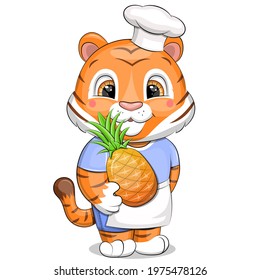 A cute chef tiger in a chef hat and apron holds a pineapple. Vector illustration of an animal isolated on white.