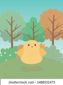 cute chick animal farm character