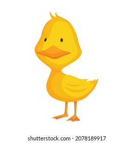Cute chick. Baby cartoon yellow vector duck. Bird child character in funny facial expression, pose and gesture for graphic design