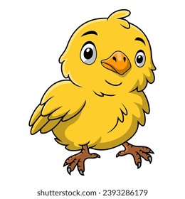 Cute chick cartoon on white background