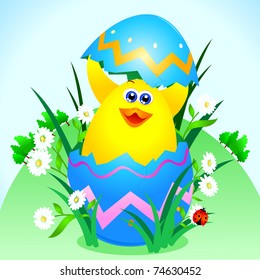 A cute chick comes out of an Easter egg, vector