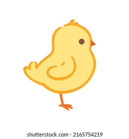 Cute chick. Contour vector illustration.