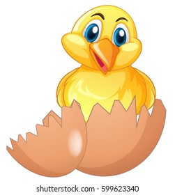 Cute chick in cracked egg illustration