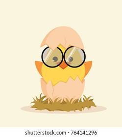 Cute chick in egg