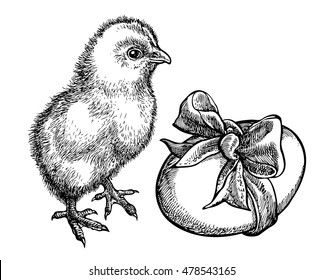 Cute chick with egg. Sketchy style. Hand drawn graphic illustration in vector. Ink drawing.