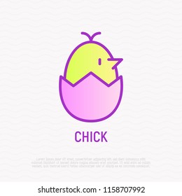 Cute chick in egg thin line icon. Modern vector illustration.