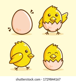 cute Chick hatch cartoon collection