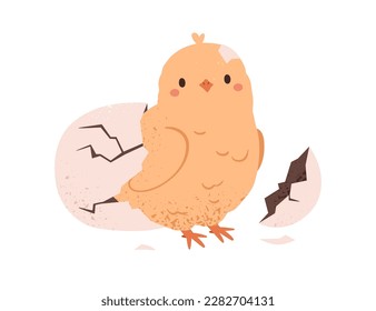 Cute chick hatched from egg shell. Funny yellow newborn chicken, baby bird outside cracked damaged crashed eggshell. New life, birth concept. Flat vector illustration isolated on white background