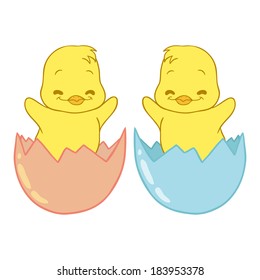 Cute chick hatched from eggs