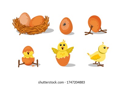 Cute chick hatching set. Chicken nest with egg, broken egg shell, baby bird. Vector illustration for farming, Easter, poultry concepts