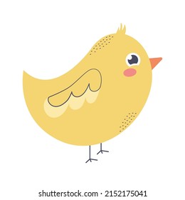 cute chick illustration over white
