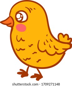 Cute chick, illustration, vector on white background