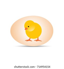 cute chick inside egg icon in color-vector drawing