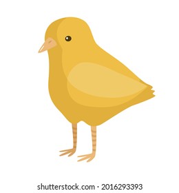 Cute chick isolated on white background. Funny cartoon character farm yellow color. Flat bird for any purposes design. Vector illustration.