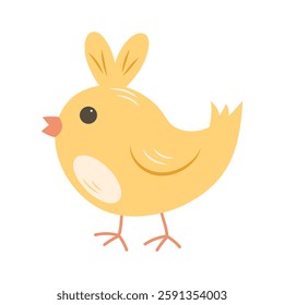 Cute chick isolated on white background.