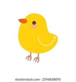 Cute chick isolated on white background.