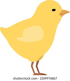 Cute chick. Little bird character. Funny animal