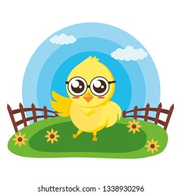 cute chick in the meadow